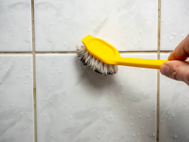 Best Mold Remediation for Specific Building Types in Wetherington, OH