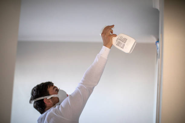 Best Post-Flood Mold Remediation in Wetherington, OH