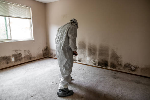 Best Mold Testing and Inspection Services in Wetherington, OH